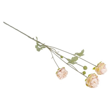 Ranunkel rosa 70 cm