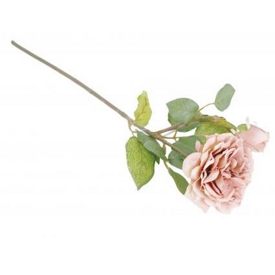 Rose med knop rosa